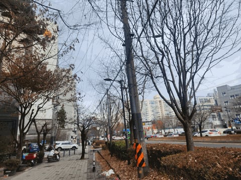 물건 사진 12