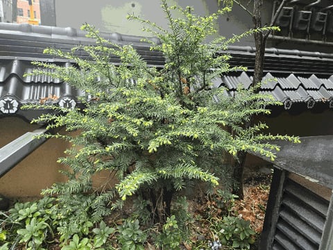 물건 사진 56
