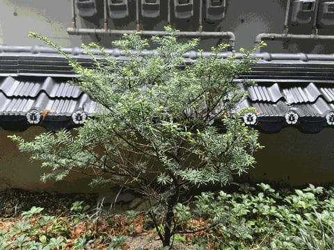 물건 사진 60