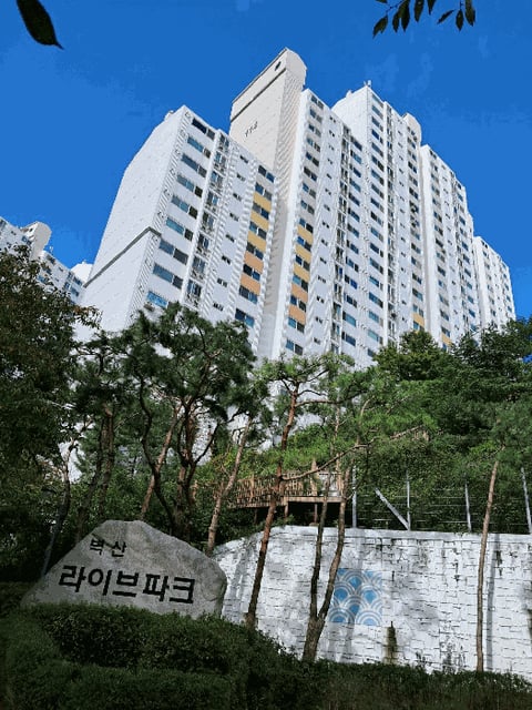 물건 사진 9