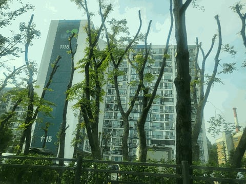 물건 사진 11