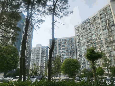 물건 사진 14