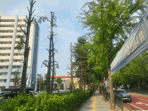 물건 사진 8