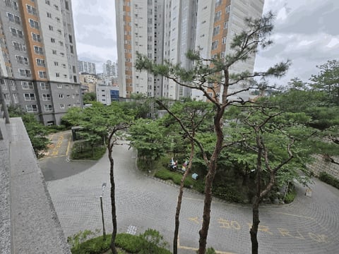 물건 사진 10