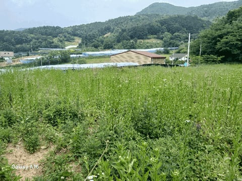 물건 사진 19