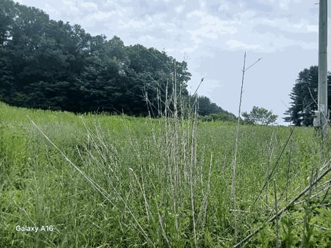 물건 사진 20
