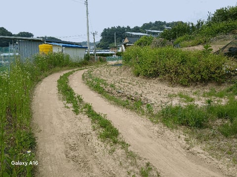 물건 사진 23