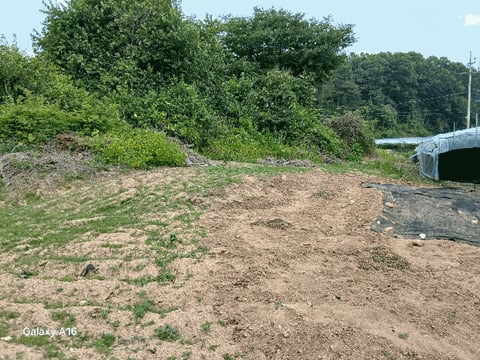 물건 사진 25