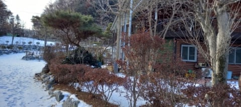 물건 사진 23