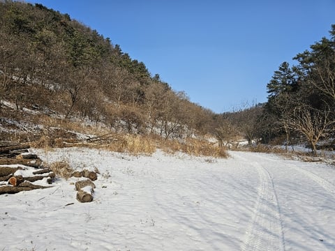 물건 사진 39