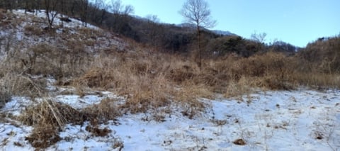 물건 사진 11
