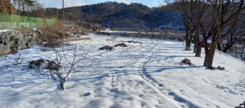 물건 사진 19