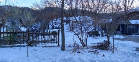 물건 사진 21
