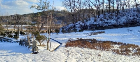 물건 사진 25