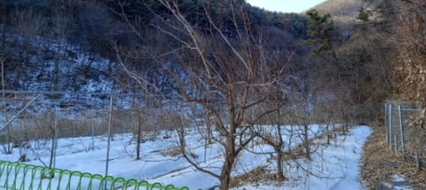 물건 사진 29