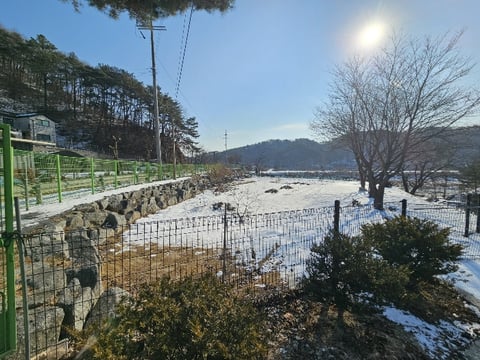 물건 사진 31