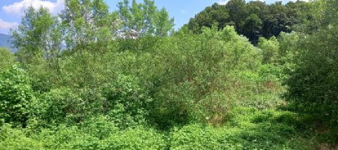 물건 사진 11