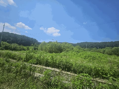 물건 사진 15