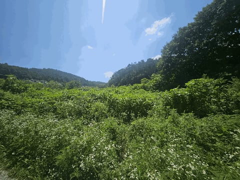 물건 사진 17