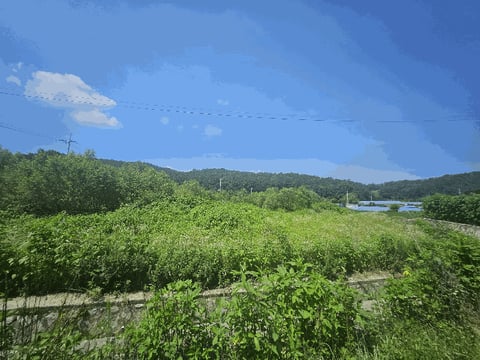 물건 사진 18