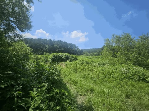 물건 사진 21