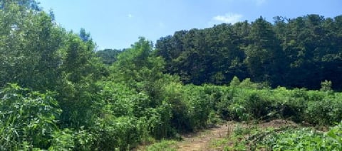 물건 사진 6