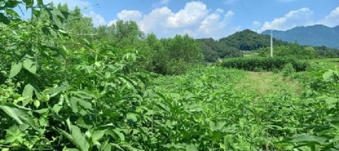 물건 사진 7