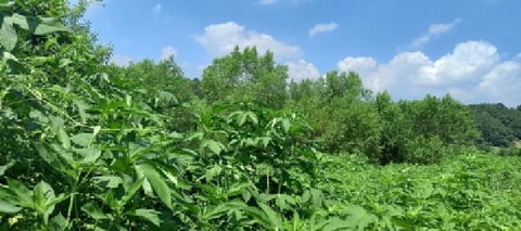 물건 사진 8