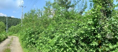물건 사진 9