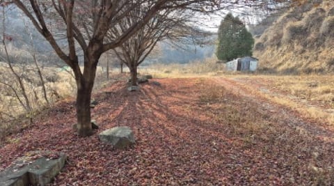 물건 사진 1