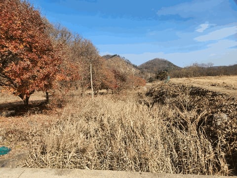 물건 사진 16