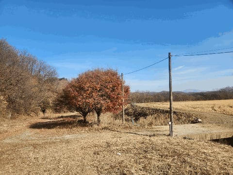 물건 사진 20