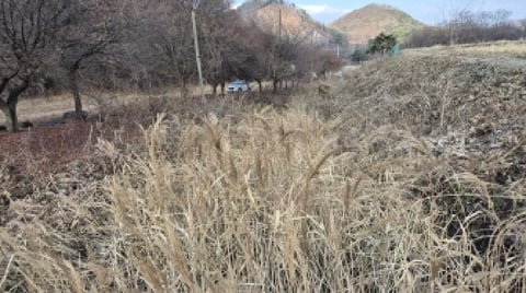 물건 사진 5