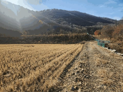 물건 사진 19