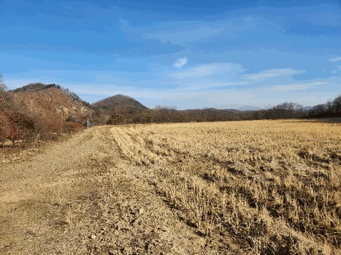 물건 사진 21