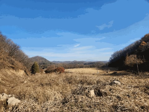 물건 사진 22