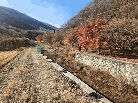 물건 사진 23