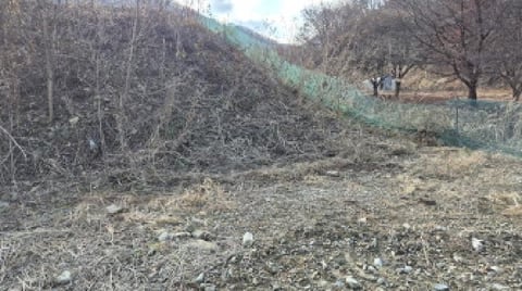 물건 사진 10
