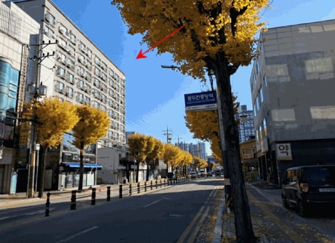 물건 사진 13