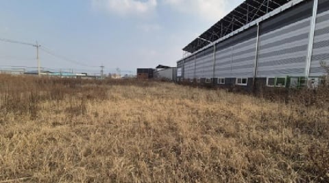 물건 사진 1