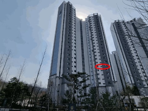 물건 사진 10