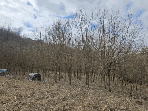 물건 사진 16