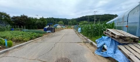 물건 사진 12