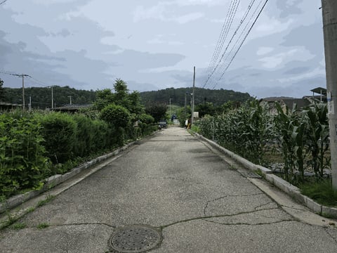물건 사진 29