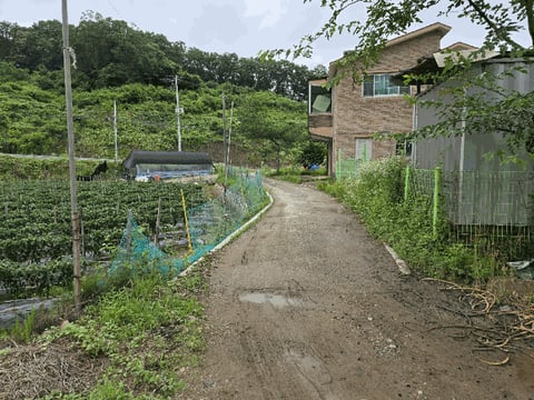 물건 사진 34