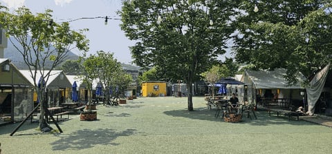 물건 사진 19