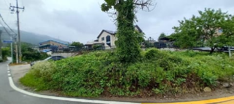 물건 사진 6