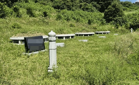물건 사진 11