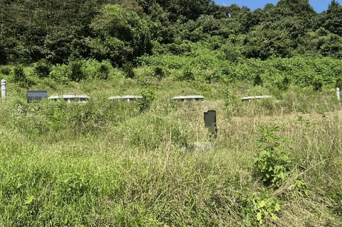 물건 사진 14