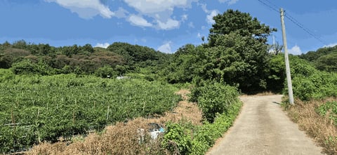 물건 사진 15